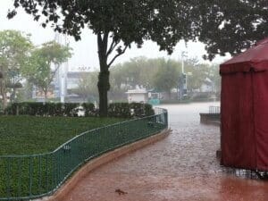 Rain in Disney World