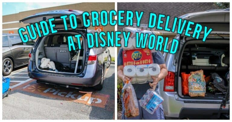 disney tourist blog grocery delivery