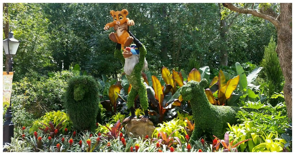 Recreating the famous scene from the Lion King as a Topiary